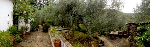 a view of our garden in the hills of Carrasqueiro
